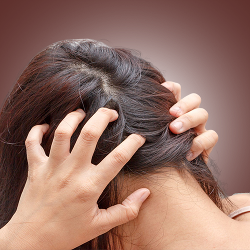 Bhringraj Plus Hair Wash Shampoo