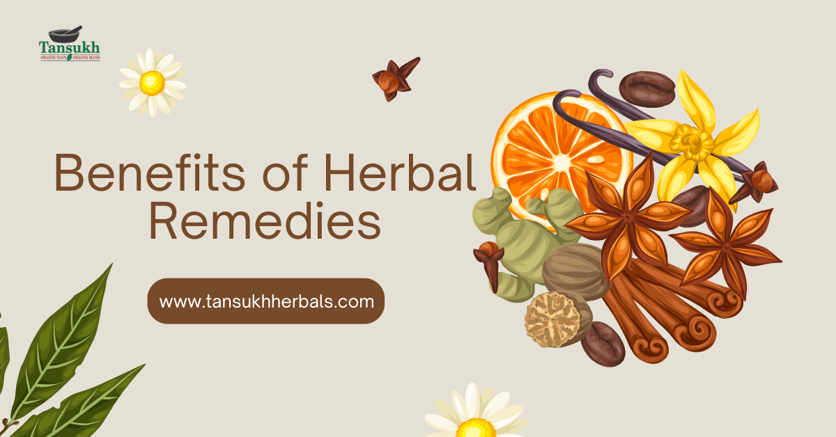 The Benefits of Herbal Remedies: Nature’s Solution to Everyday Health Issues