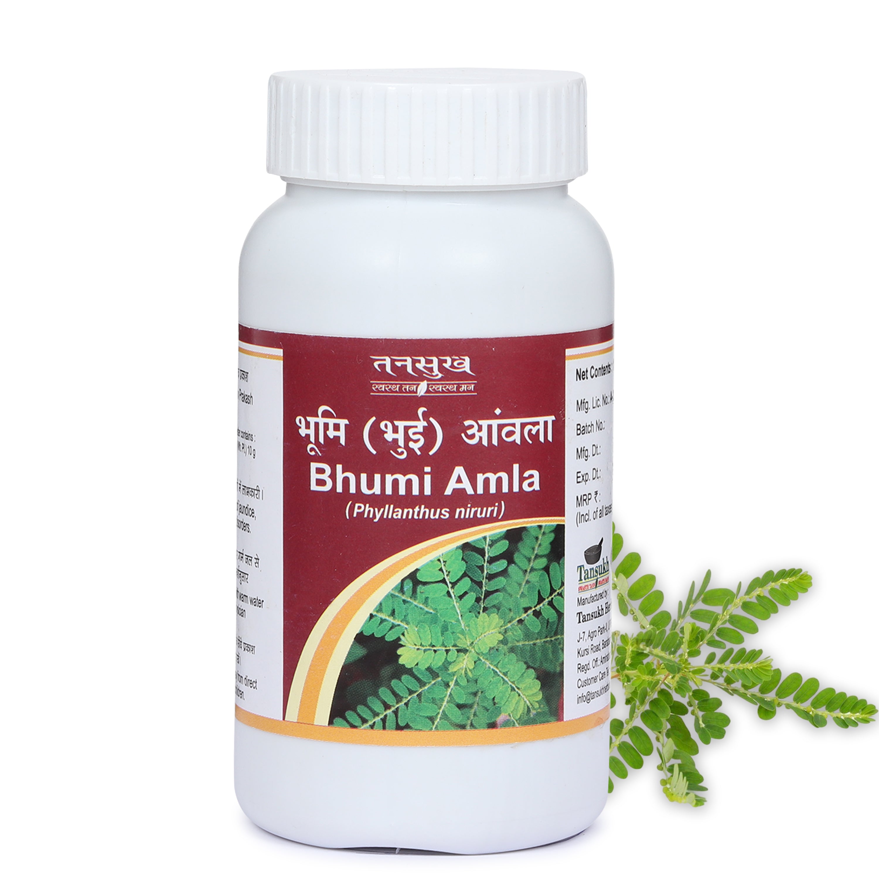 Tansukh Bhumi Amla Churna Jar of 100 GM